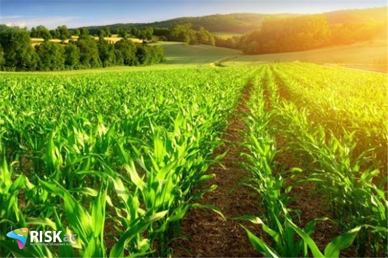 دهه آینده دهه کشاورزی است