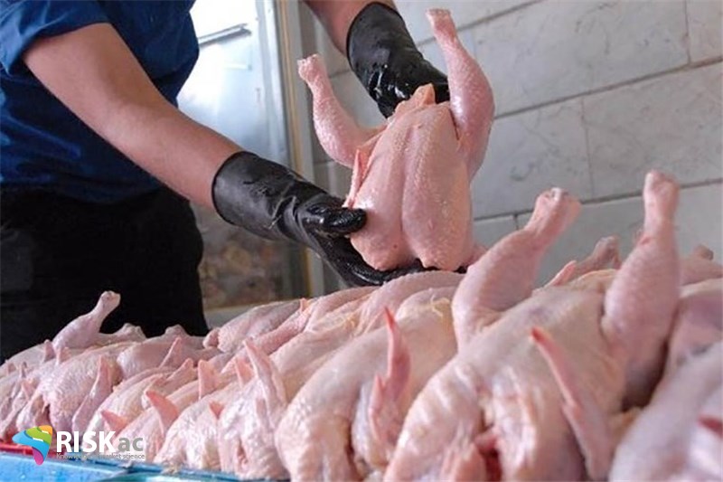 قیمت مرغ نسبت به فروردین 94، 103 درصد رشد کرده