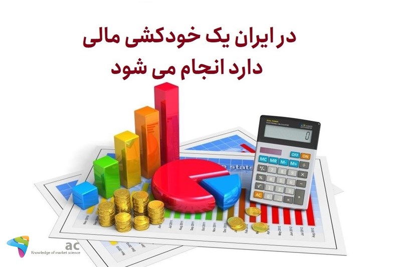 در ایران یک خودکشی مالی دارد انجام می شود