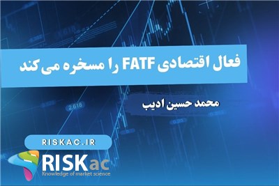 فعال اقتصادی FATF را مسخره می کند